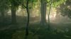 Fable 2 - 25